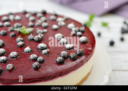 Schwarzen Johannisbeeren Käsekuchen mit frischen Beeren auf Platte closeup Stockfoto