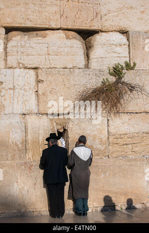 Gut gekleidet jüdischen Mann und ein Pilger in zerrissenen Kleidern beten nebeneinander an der westlichen Wand, Jerusalem. Israel Stockfoto