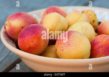 Pfirsiche in Platte Nahaufnahme Stockfoto