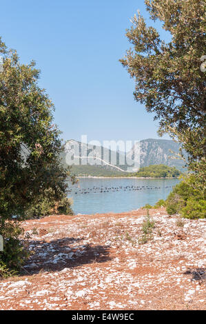 Blick auf die Stadt Mali Ston in Kroatien mit der weltbekannten Ston Wände Stockfoto