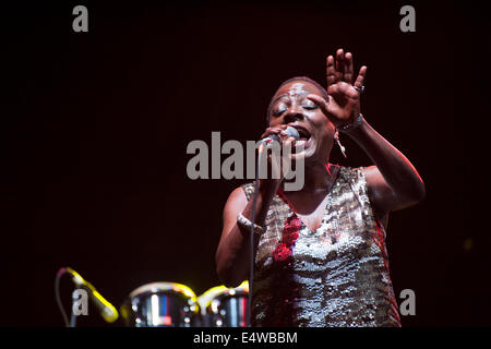 New York, USA. 16. Juli 2014. Sharon Jones, 58, entfesselt einen Strom von Energie, wie sie mit den Dap-Kings auf dem Lowdown Hudson Blues Festival auf der Brookfield Place Waterfront Plaza in Battery Park City durchgeführt. Vor einem Jahr wurde sie mit Krebs diagnostiziert, aber auf dem Konzert, sie sagte, sie war "krebsfrei" und wollte nicht aufhören, "bis sie mich hinlegen." Bildnachweis: Terese Loeb Kreuzer/Alamy Live News/Alamy Live-Nachrichten Stockfoto