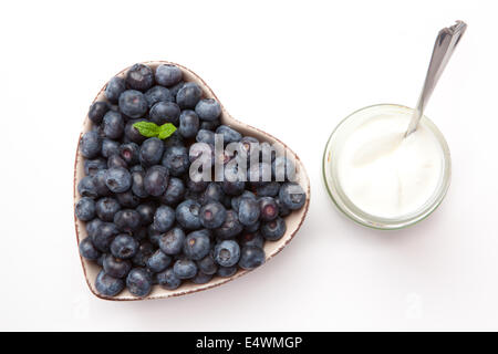 Joghurt und Heidelbeeren in einer Schüssel Stockfoto