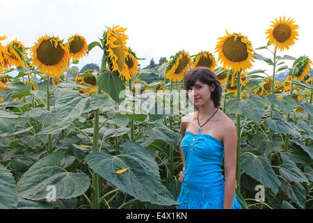 Schöne Teenager-Mädchen trägt ein blaues Kleid in dem Sonnenblumenfeld Stockfoto