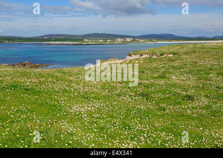 Machair Grünland Blumen an Westküste im Sommer bei Balranald RSPB Natur Reserve North Uist äußeren Hebriden Scotland UK Stockfoto