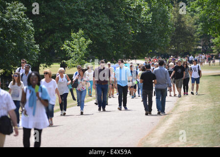 Green Park, London, UK. 17. Juli 2014. Londoner genießen Sie die Sonne in Green Park zur Mittagszeit. Bildnachweis: Matthew Chattle/Alamy Live-Nachrichten Stockfoto