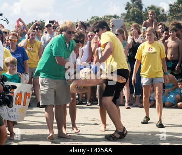 South Carolina, USA. 15. Juli 2014. Briar befreit die Meeresschildkröte nach knapp einem Jahr des Seins aufgepäppelt durch das South Carolina Aquarium Sea Turtle Rescue-Programm. Sie wurde am 30. Mai 2013, extrem Undeweight, mit Armen Bloodworks gefunden und Katarakt entwickelt hatte. Nach der Operation und Wochen der Krankenpflege am Programm war sie schließlich gut genug, um am 15. Juli 2014 frei einstellbar Credit: Brian Jordan/Alamy Live News Stockfoto