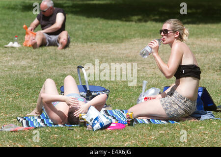 London UK. 17. Juli 2014. Frauen, die ein Sonnenbad im Regents Park trotz Hitzewelle Warnung ausgegeben am heißesten Tag soweit Temperaturen um 30 Grad Celsius Kredit steigen prognostiziert werden: Amer Ghazzal/Alamy Live-Nachrichten Stockfoto