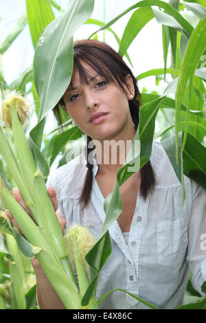 Porträt einer Frau im Maisfeld Stockfoto