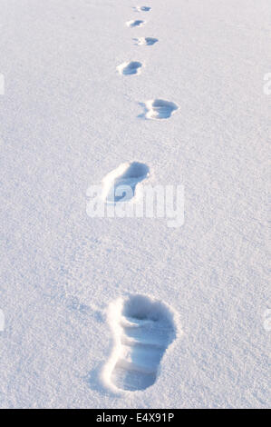 Fußspuren im Schnee Stockfoto