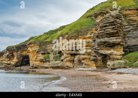 SANDSTEIN-STACK UND FELSEN AN EINEM STRAND, GEBILDET AUS DER SAHARA WÜSTE 250 MILLIONEN JAHRE VOR, IN DER NÄHE VON HOPEMAN MORAY KÜSTE SCHOTTLAND Stockfoto