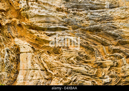 SANDSTEIN VERWITTERT UND EROSION DURCH WIND UND MEER IN DER NÄHE VON HOPEMAN AN DER MORAY KÜSTE SCHOTTLANDS Stockfoto