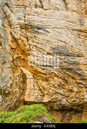 SANDSTEIN VERWITTERT DURCH WIND UND MEER IN DER NÄHE VON HOPEMAN AN DER MORAY KÜSTE SCHOTTLANDS Stockfoto