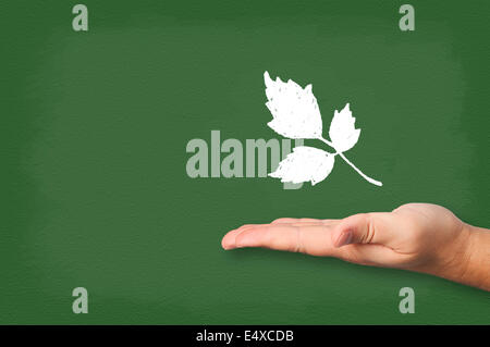Blätter gezeichneten Kreide an die Tafel mit der Hand. Stockfoto