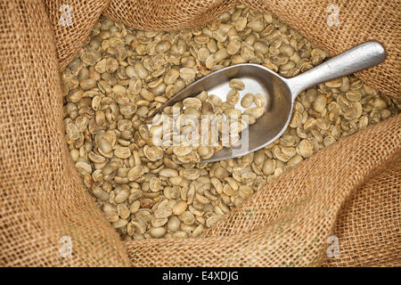 Rohe Kaffeebohnen Stockfoto