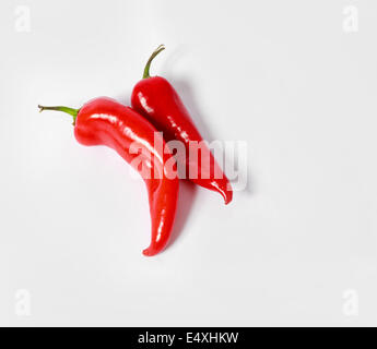 Zwei rote Paprika auf weißem Hintergrund Stockfoto