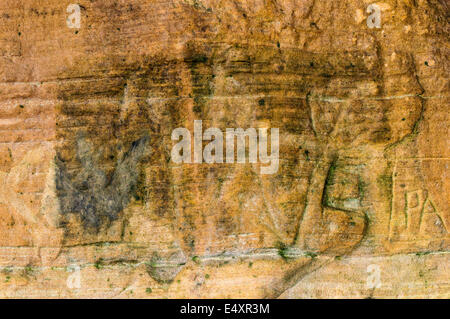 PIKTISCHE SYMBOLE VON 500 N. CHR. GESCHNITZT IN SANDSTEINWÄNDE IN DER BILDHAUER-HÖHLE IN DER NÄHE VON HOPEMAN AN DER MORAY KÜSTE SCHOTTLANDS Stockfoto