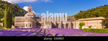 Die Abbaye de Senanque in der Provence, Frankreich mit blühenden Lavendel Stockfoto