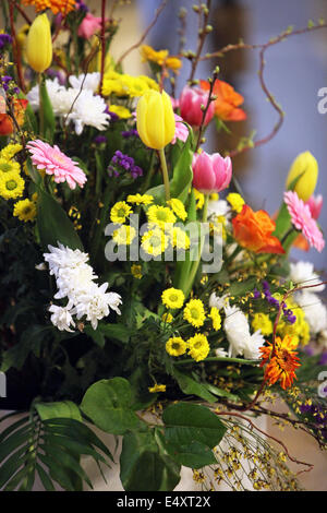 Schöne Blumen an einem Sommertag Stockfoto