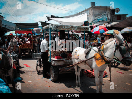 Gaza-Stadt. 17. Juli 2014. Palästinenser eilen zum Einkaufen in einem lokalen Markt von Gaza-Stadt. Einheimischen Geschäften und Banken am Donnerstag als eine fünfstündige humanitäre Waffenruhe vereinbart durch Israel und Hamas in Kraft getreten, Stunden, nachdem das israelische Militär sagte, dass es aus bewaffneten gekämpft hatte, die aus dem Gazastreifen infiltriert. Der Bruch in 10 Tagen des Kampfes wurde von den Vereinten Nationen zu Gunsten für die Einwohner des Gaza-Streifens angefordert. Bildnachweis: Ahmed Hjazy/Pacific Press/Alamy Live-Nachrichten Stockfoto