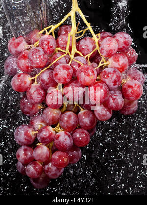 Trauben-Cluster in Wasser spritzt Stockfoto