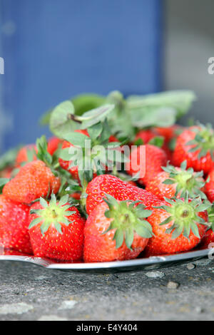 Frisch gepflückten Erdbeeren Stockfoto