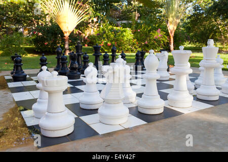 Zahlen zum Spiel in Schach auf die Natur Stockfoto