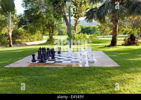 Zahlen zum Spiel in Schach auf die Natur Stockfoto