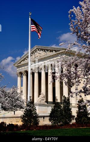 Washington, DC: Blühende Kirschbäume Rahmen die Neo-klassischen Westfassade des 1935 United States Supreme Court Stockfoto