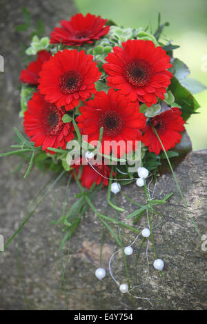 Blumenstrauß mit roten Gerbera Gänseblümchen Stockfoto