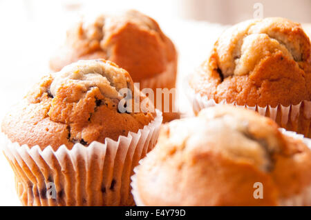 Frisch gebackene hausgemachte Blaubeer-Muffins. Stockfoto