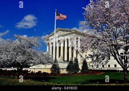 Washington, DC: Blühende Kirschbäume Rahmen die klassischen Westfront des United States Supreme Court * Stockfoto