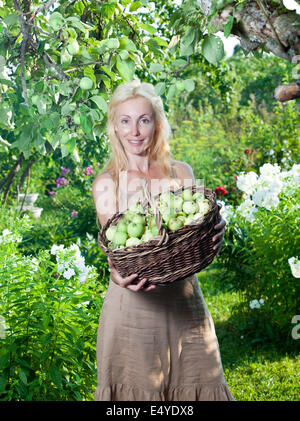 Frau mit einem Korb voller Äpfel im Garten. Stockfoto