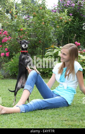 Niedlichen kleinen Hund mit einem jungen Mädchen spielen Stockfoto
