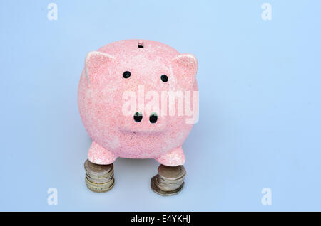 Sparschwein auf Münzen Stockfoto