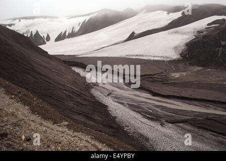 Deception Island, Antarktis Stockfoto