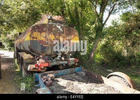 Alte britische 1966 Leyland Benzin Tanker mit Wildplants Kraut Robbert wächst auf Dach und peeling rostenden Baldachin alten Reg aufgegeben Stockfoto