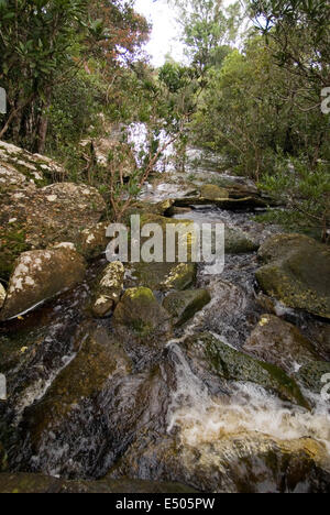 Wasserfälle Popokvil. Bokor National Park. Popokvil WaterfallPopokvil, d. h. wirbelnde Wolken ist möglicherweise nach der Ling benannt. Stockfoto