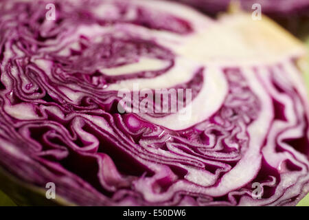 Einen Kopf Rotkohl, in zwei Hälften geschnitten Stockfoto