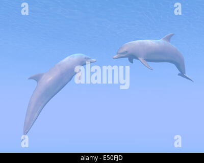Delphine-Datum - 3D render Stockfoto