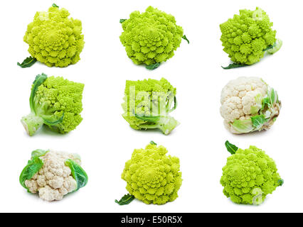 Blumenkohl und Brokkoli Stockfoto