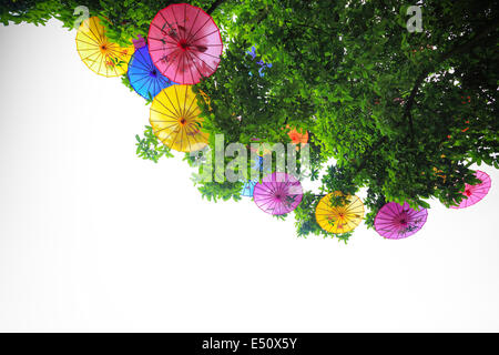 Ölpapier-Schirm in einem Baum hing Stockfoto