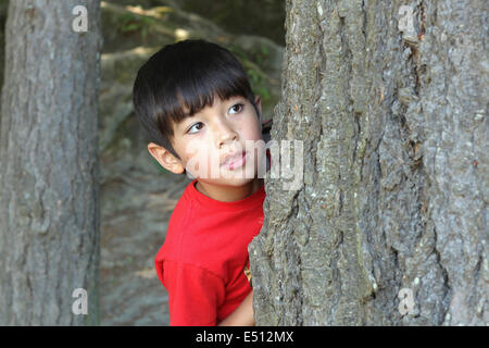 Ein kleiner Junge späht heraus hinter einem Baum. Stockfoto