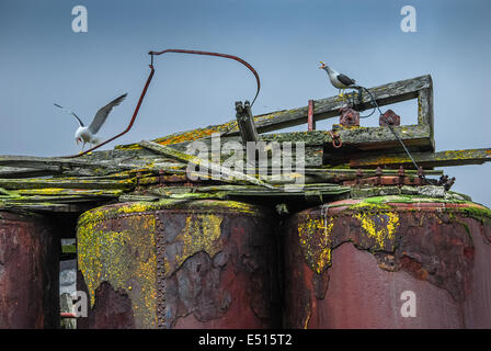 Walfänger Basis Deception Island, Antarktis Stockfoto