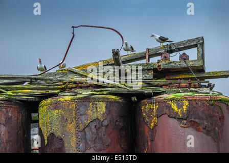 Walfänger Basis Deception Island, Antarktis Stockfoto