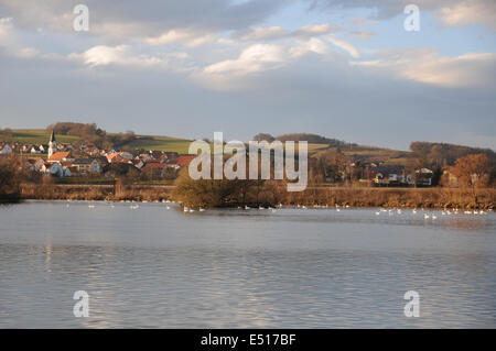 Donau, Wolken, Schwäne Stockfoto