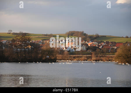 DANUBIA, Wolken, Schwäne Stockfoto