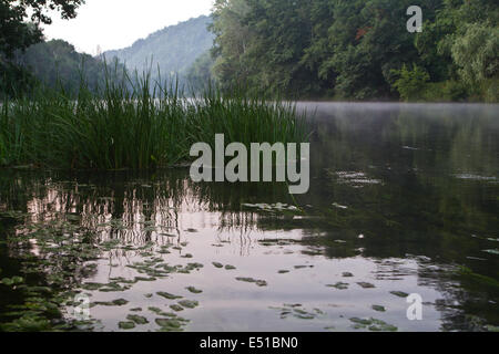 Landschaftsblick auf den Fluss Siwerskyj Donez Stockfoto