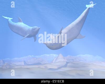 Delfine unter Wasser - 3D render Stockfoto