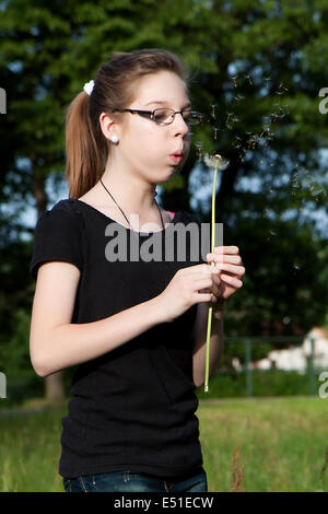 Hineinblasen Löwenzahn Stockfoto