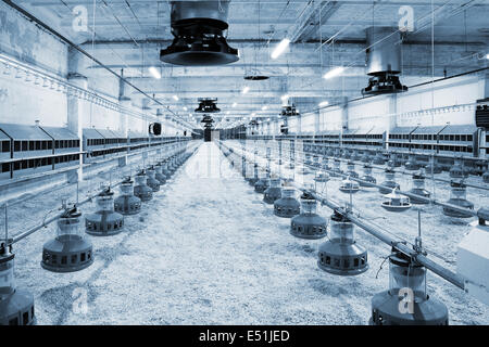neue Geflügelfarm Stockfoto